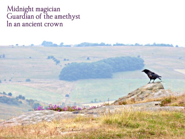 Midnight magician Guardian of the amethyst In an ancient crown