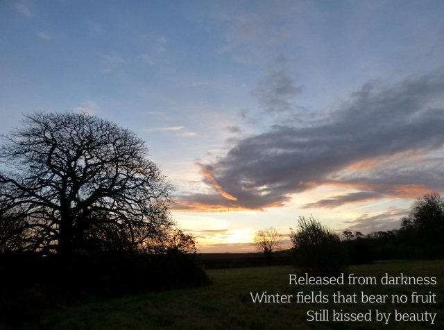 Released from darkness Winter fields that bear no fruit Still kissed by beauty