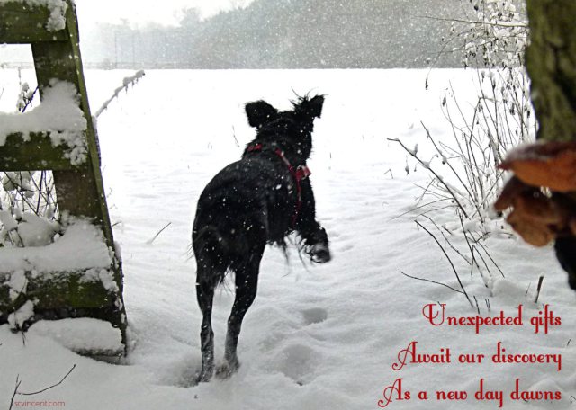 Unexpected gifts Await our discovery As a new day dawns