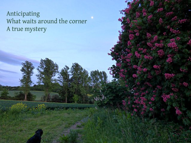 Anticipating What waits around the corner A true mystery