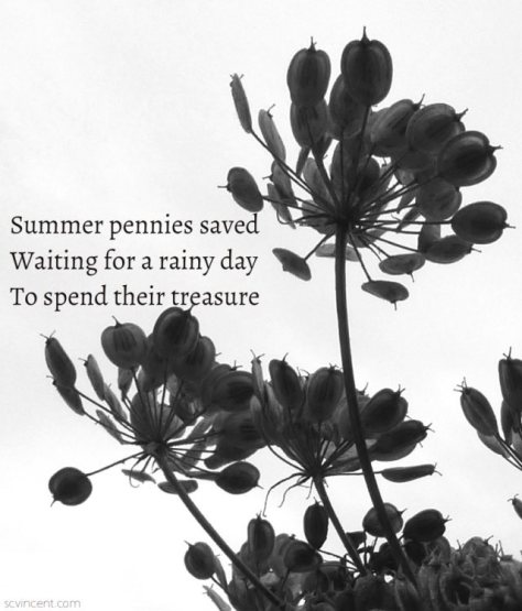 Summer pennies saved Waiting for a rainy day To spend their treasure