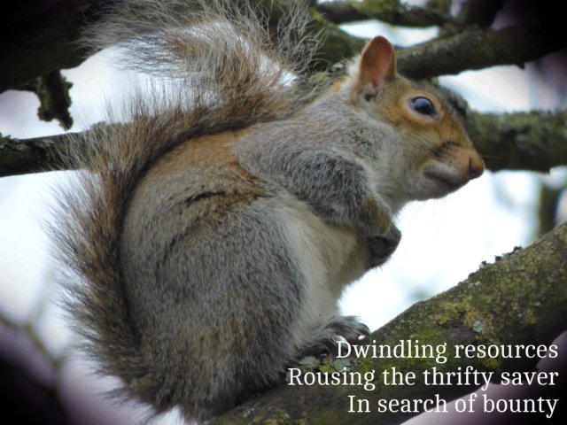 Dwindling resources Rousing the thrifty saver In search of bounty