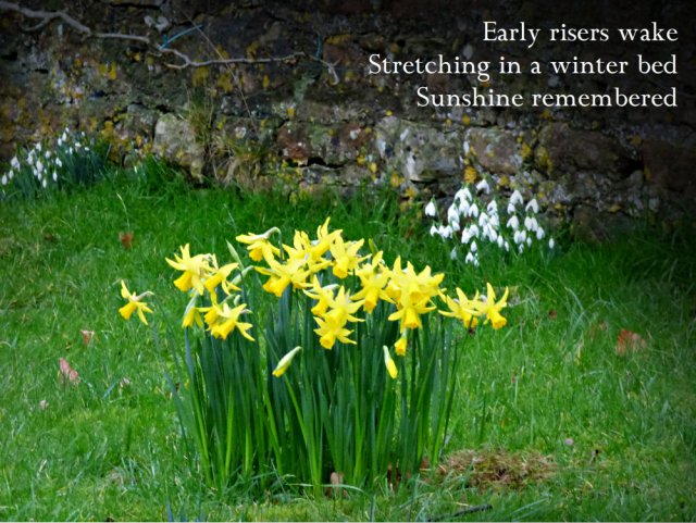 Early risers wake Stretching in a winter bed Sunshine remembered