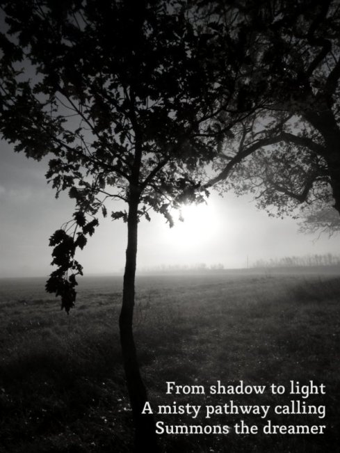 From shadow to light A misty pathway calling Summons the dreamer