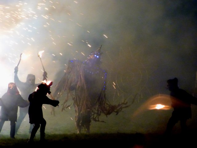 imbolc fox weekend 130