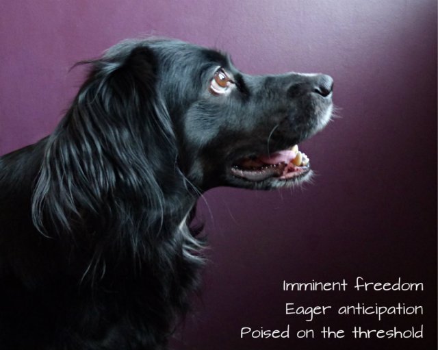 Imminent freedom Eager anticipation Poised on the threshold