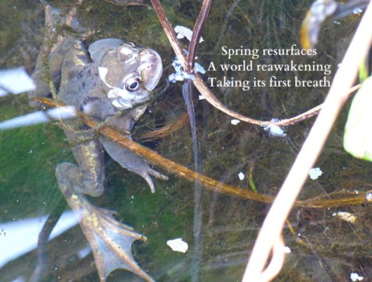 spring resurfaces, a world reawakening takes its first breath