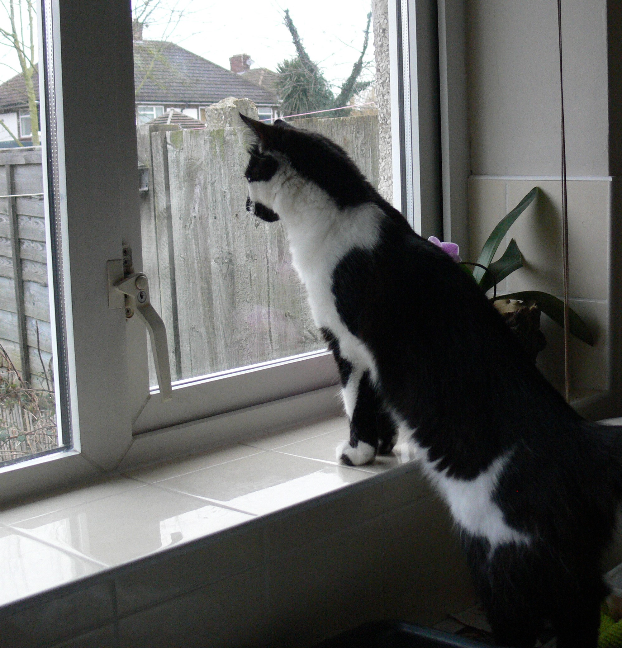 2016-02-10 10.30.54 (2)