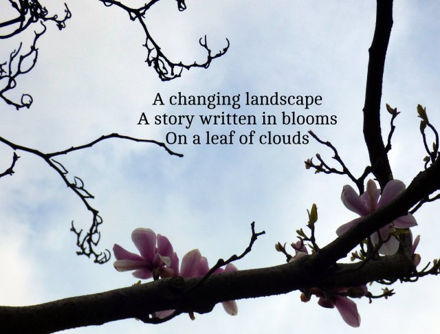 A changing landscape A story written in blooms On a leaf of clouds