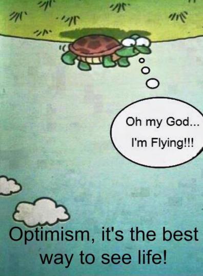 turtle on his back thinks he's flying