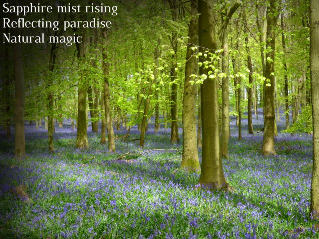 Sapphire mist rising Reflecting paradise Natural magic
