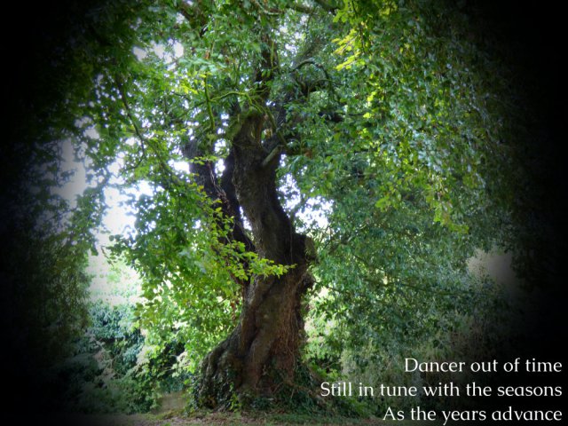 Dancer out of time Still in tune with the seasons As the years advance