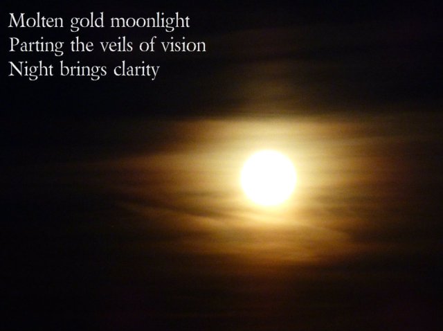 Molten gold moonlight Parting the veils of vision Night brings clarity