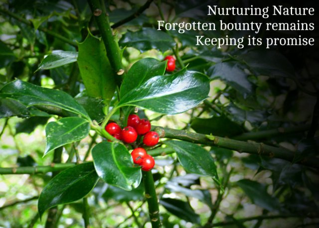 Nurturing Nature Forgotten bounty remains Keeping its promise