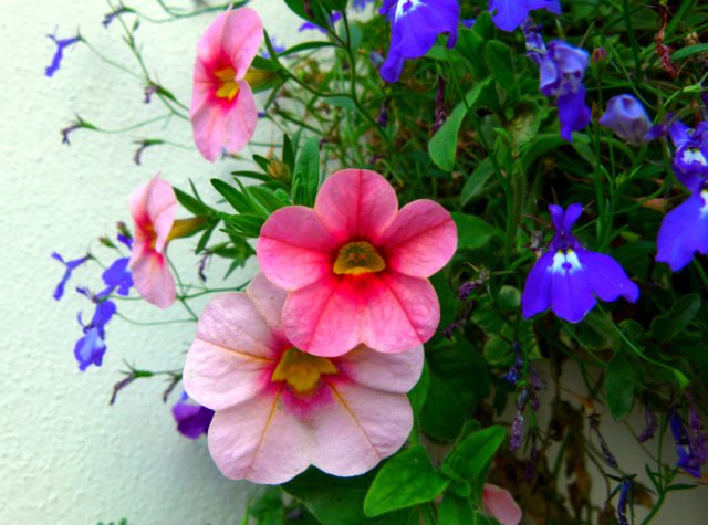 sheffield book weekend 054