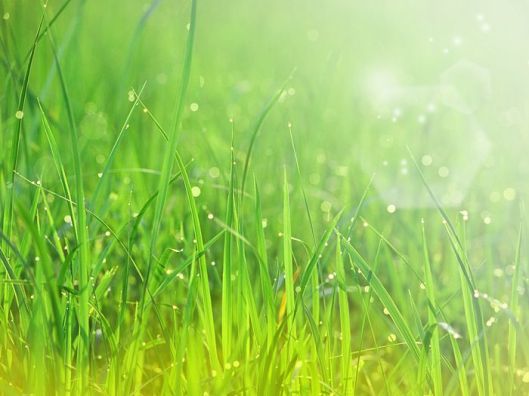 Miracle of Delicacy2