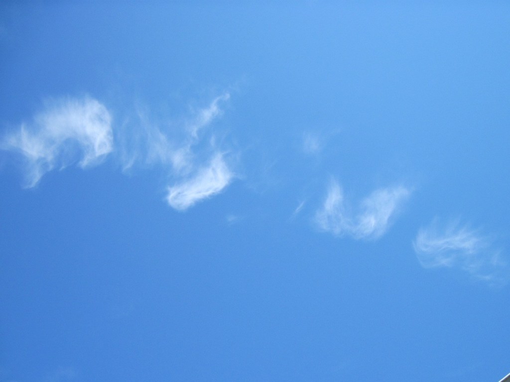 Silent Sunday: Summer Sky