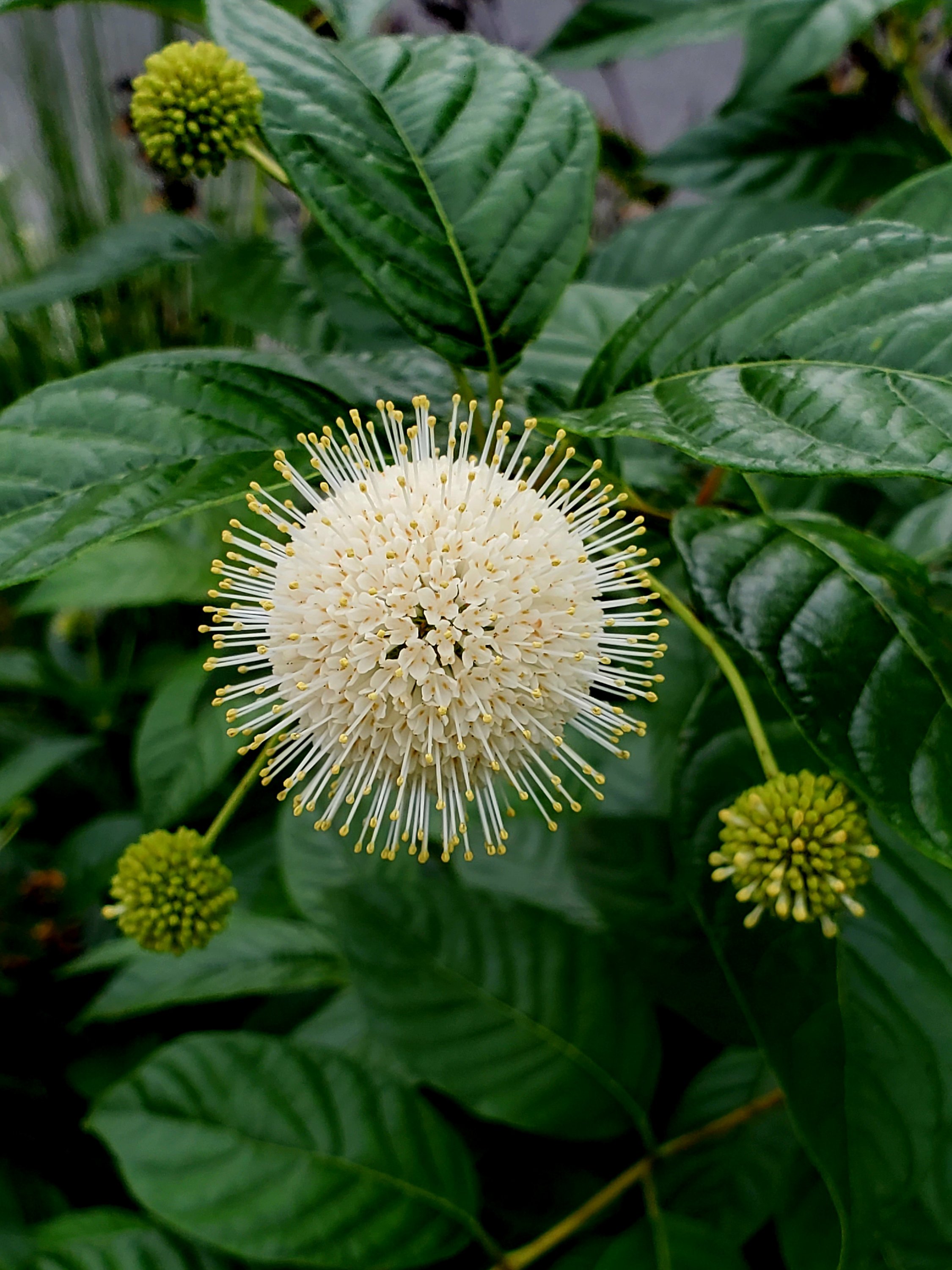 wp-16890423558898317222560319427007