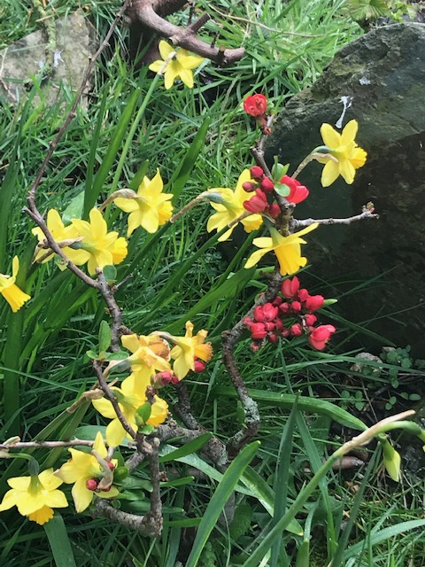 One very Special&nbsp;Moment…